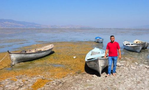 Marmara Gölü için tehlike çanları çalıyor: Su 500 metre çekildi, derinlik bir metreye düştü