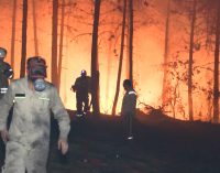 İstanbul’da orman yangını: Alevler, şiddetli lodosla kısa sürede büyüdü