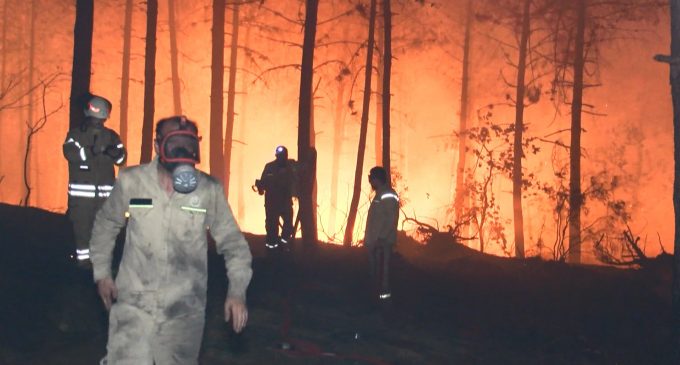 İstanbul’da orman yangını: Alevler, şiddetli lodosla kısa sürede büyüdü