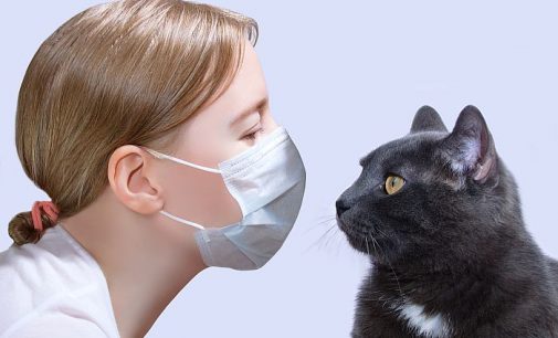 Bilim Kurulu üyesi Prof. Midilli uyardı: Koronavirüs hastaları evcil hayvanlardan uzak dursun