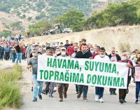 Kum ocağı projesine karşı köylülerin zaferi: Orman olacak
