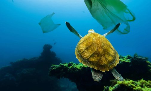 Araştırma: Okyanusların dibinde, en az 14 milyon ton plastik var