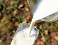 USK, çiğ süt tavsiye fiyatını açıkladı: 7,50 lira