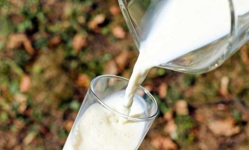 Çiğ süt fiyatı belirlendi: Üreticiye verilen 1 liralık destek 20 kuruşa düşürüldü