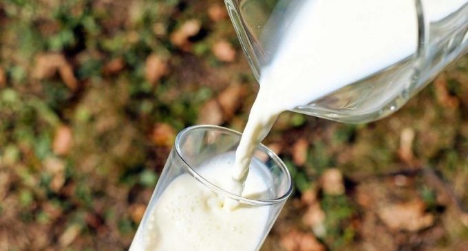 Çiğ süt tavsiye satış fiyatı belli oldu: Süte zam