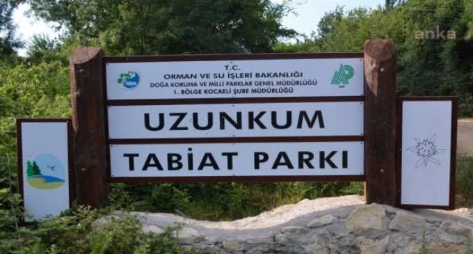 AKP talanı tam gaz sürüyor: Bir doğa parkı daha yok edildi