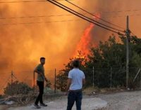 Hatay ve Mersin’deki yangınlar sürüyor, Adana’daki yangın kontrol altına alındı
