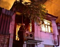 İzmir’de iki katlı bina küle döndü: 25 papağan yanarak öldü