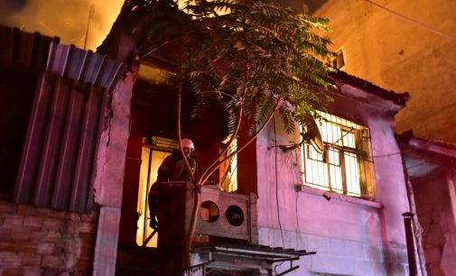 İzmir’de iki katlı bina küle döndü: 25 papağan yanarak öldü