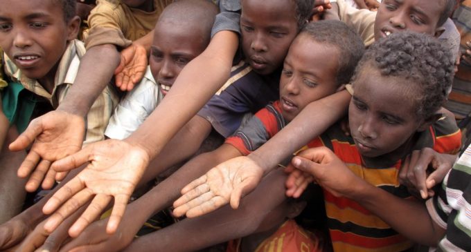 BM raporu: Somali’de yıl sonuna kadar 2.1 milyon kişi aç kalabilir