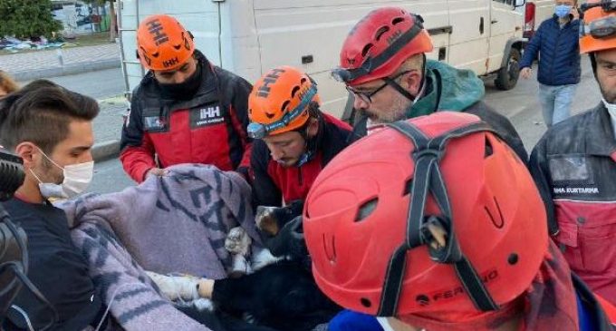Depremden 58 saat sonra “Ares” adlı köpek enkazdan yaralı olarak kurtarıldı