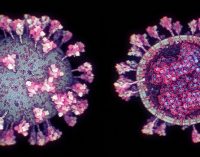 Bilim insanları antikorlara yakalanmayan koronavirüs mutasyonu tespit etti