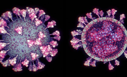 Bilim insanları antikorlara yakalanmayan koronavirüs mutasyonu tespit etti