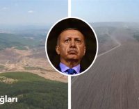 Erdoğan: Biz tabiatla kardeş, çiçekle, yeşille, toprakla dost bir ülkeyiz