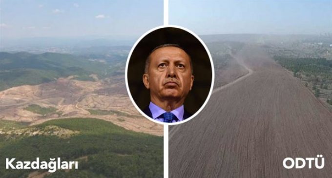 Erdoğan: Biz tabiatla kardeş, çiçekle, yeşille, toprakla dost bir ülkeyiz