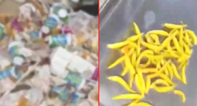 Kadıköy’de tantunicide skandal görüntüler: Çöpe atılan biberleri toplayıp tekrar müşteriye sundular