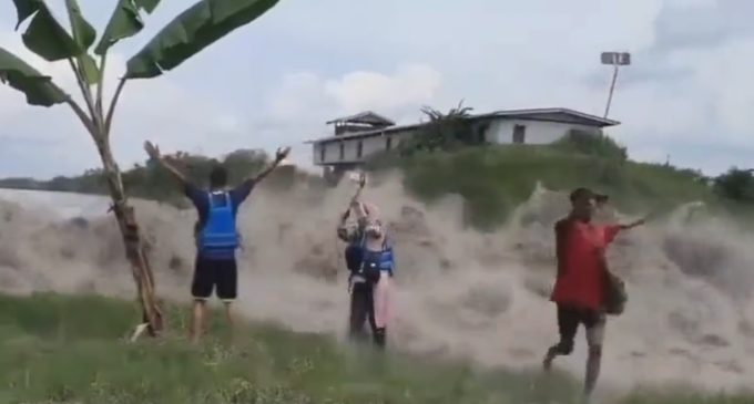 Sosyal medyada viral olan “tsunami yaklaşırken ağaç yumruklayan adam” videosu sahte çıktı