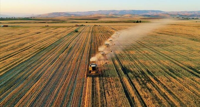 TÜİK, Tarımsal Girdi Fiyat Endeksi verilerini açıkladı
