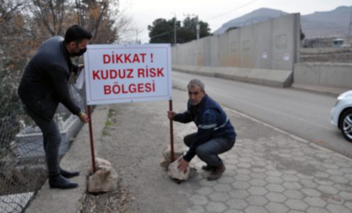 Mardin’de yedi kişiyi ısıran köpek kuduz çıktı, mahalle karantinaya alındı