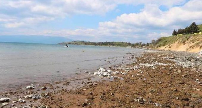 İzmir Foça’da deniz 20 metre çekildi: İskelelerin ayakları ortaya çıktı