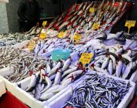 Tezgahları akaryakıt zamlarının ardından olumsuz hava koşulları da vurdu: Balık fiyatları fırladı