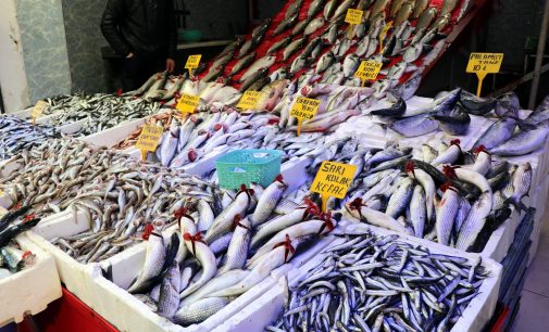 Tezgahları akaryakıt zamlarının ardından olumsuz hava koşulları da vurdu: Balık fiyatları fırladı