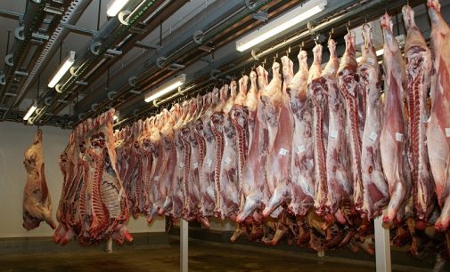Rekor fiyat artışı yaşanmıştı: Türkiye üç ülke dışında kırmızı et ihracatını durdurdu