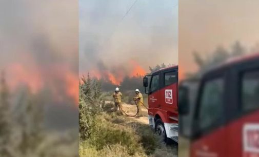 Çeşme’de yangın: Alevler rüzgarın etkisiyle ağaçlık alana sıçradı