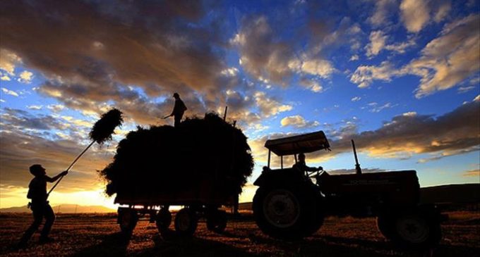 84 milyonluk Türkiye’de çiftçi sayısı 500 binin altına düştü: Son yılların en düşük seviyesi
