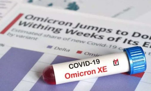 Omicron’un alt varyantı yayılıyor: Omicron XE nedir, belirtileri neler, aşılar etkili mi?