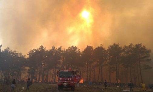 İzmir’in ardından Çanakkale’de de orman yangını çıktı