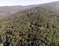 Valilik duyurdu: İzmir’de 26 ormanlık alana dört ay giriş yasağı