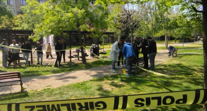 Kadın cinayeti: Parkta eski eşi tarafından bıçaklanan kadın yaşamını yitirdi