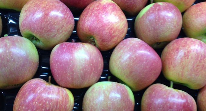 Elmanın üretici ile market arasındaki fiyat farkı yüzde 440’ın üzerine çıktı!