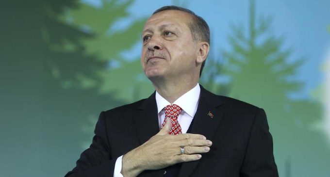Erdoğan’ın imzasıyla dört ilde bazı alanlar orman sınırları dışına çıkartıldı