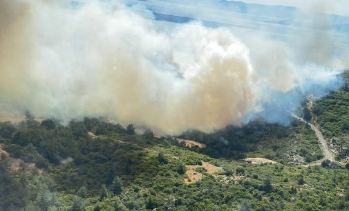 İzmir’in iki ilçesinde orman yangını