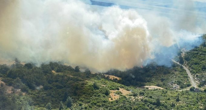 İzmir’in iki ilçesinde orman yangını