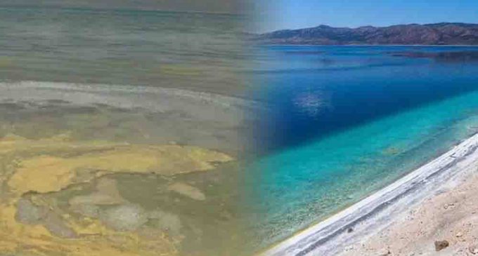 Göz göre göre: AKP’nin “konsept” projesi Salda Gölü’nü bataklığa çevirdi