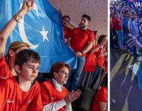 Türkiye-Çin maçında Akşener’in locasında Doğu Türkistan bayrağı açıldı: Polis bayrağın indirilmesini istedi