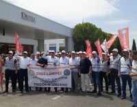 Efe Rakı, sendikalı olduğu için 24 işçiyi işten attı