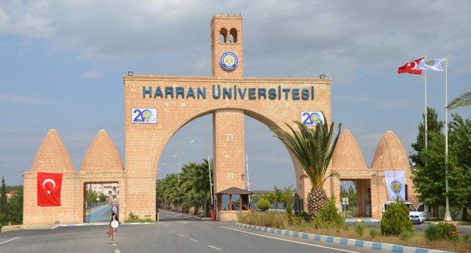 Harran Üniversitesi’nde taciz iddiası: Altı kadın öğrencinin dilekçesi üzerine soruşturma başlatıldı