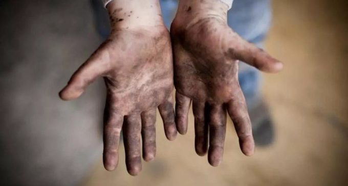 UNICEF Türkiye Temsilcisi Yardımcısı aktardı: Türkiye’de çocuk işçilik yaşı beşe düştü