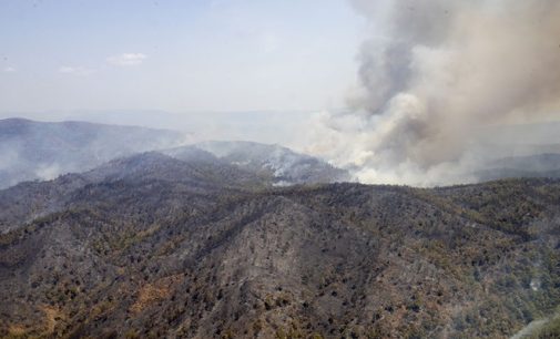 Marmaris Belediye Başkanı Oktay: Yangın nihayet söndürüldü