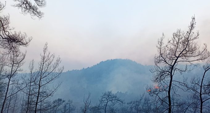 Marmaris’te yangın: Havadan müdahale yeniden başladı