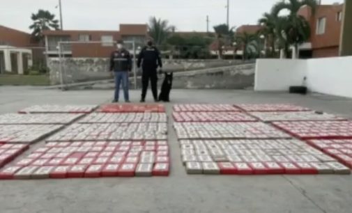 Yine muz kolisi yine varış noktası Mersin Limanı: 845 kilo kokain ele geçirildi