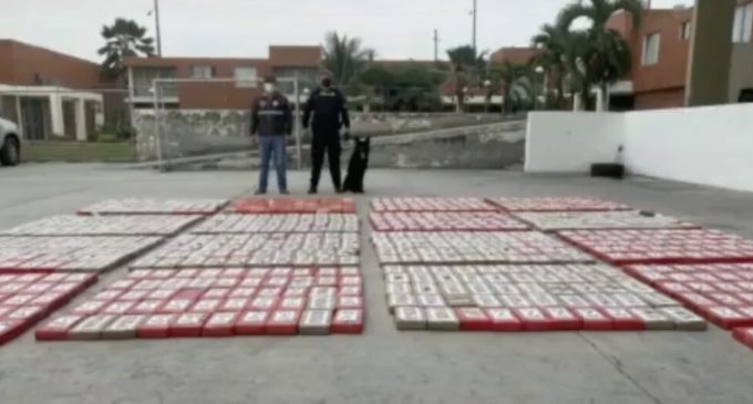 Yine muz kolisi yine varış noktası Mersin Limanı: 845 kilo kokain ele geçirildi