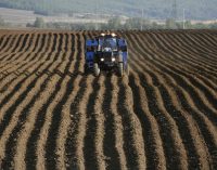2022 tarım destekleri açıklandı: 18 üründen biri arttı