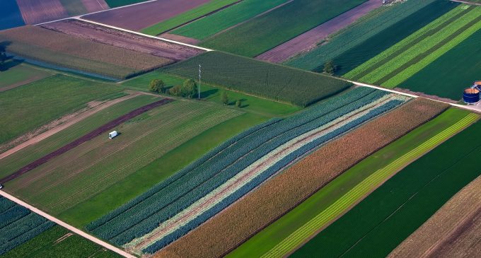 Türkiye tarım yapmak için 10 ülkede arazi kiralayacak