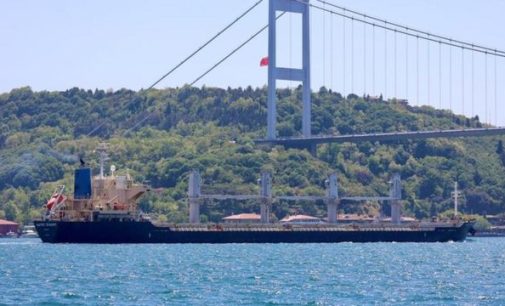 Erdoğan’ın danışmanı: Rus gemisindeki tahıl çalıntıysa, Ukrayna adına satarız