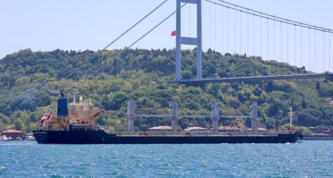 Erdoğan’ın danışmanı: Rus gemisindeki tahıl çalıntıysa, Ukrayna adına satarız